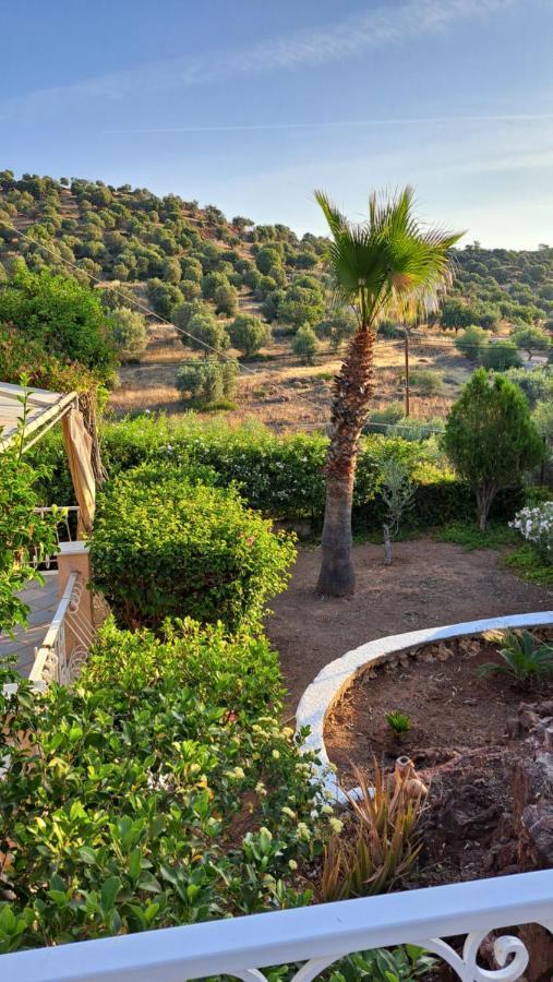 Villa Βlueview Ermioni Esterno foto