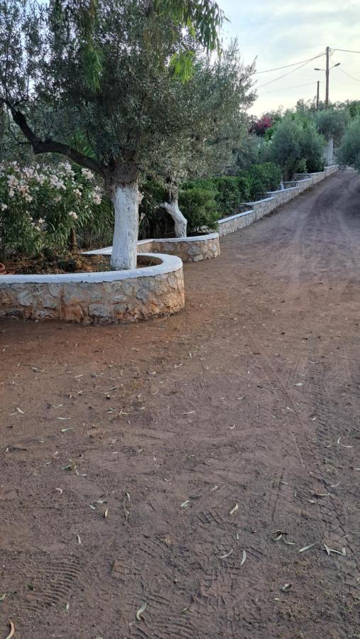Villa Βlueview Ermioni Esterno foto