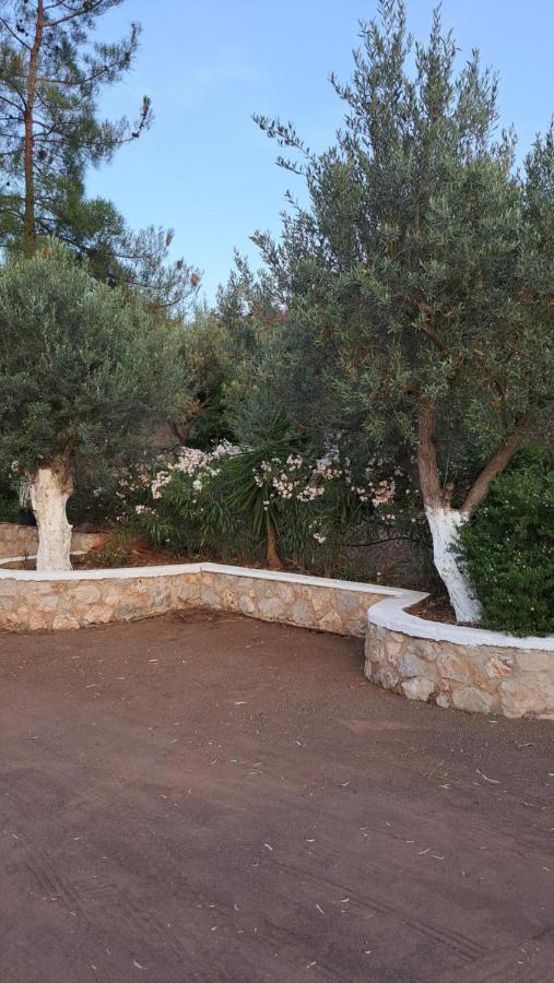 Villa Βlueview Ermioni Esterno foto