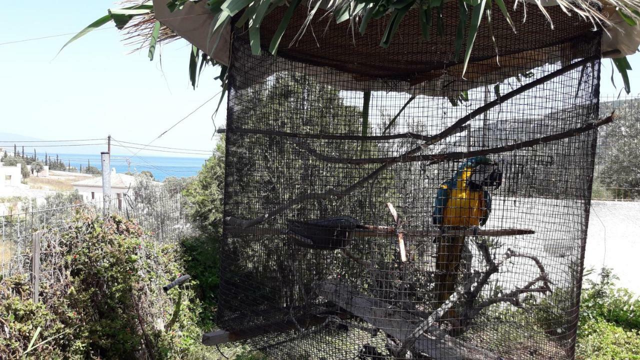 Villa Βlueview Ermioni Esterno foto